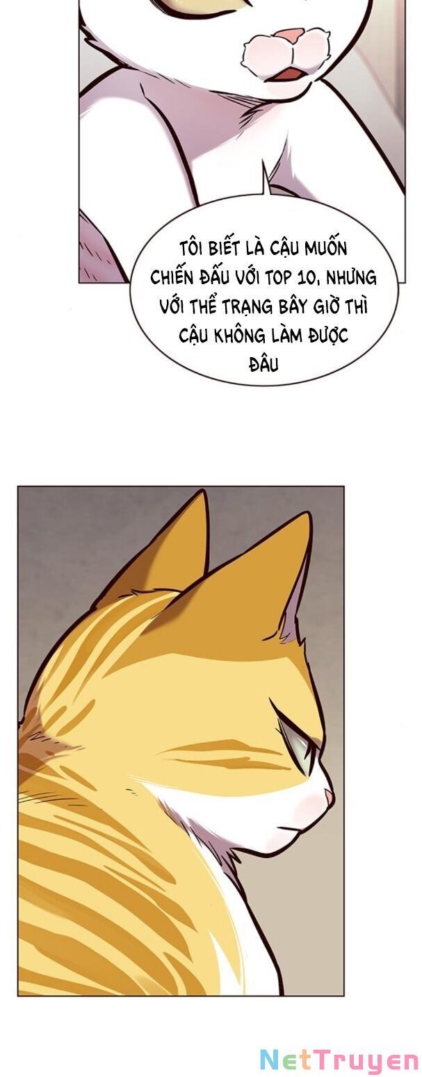 đọc truyện Hóa Thân Thành Mèo Chương 173 ảnh 35 tại Thiên Thai Truyện