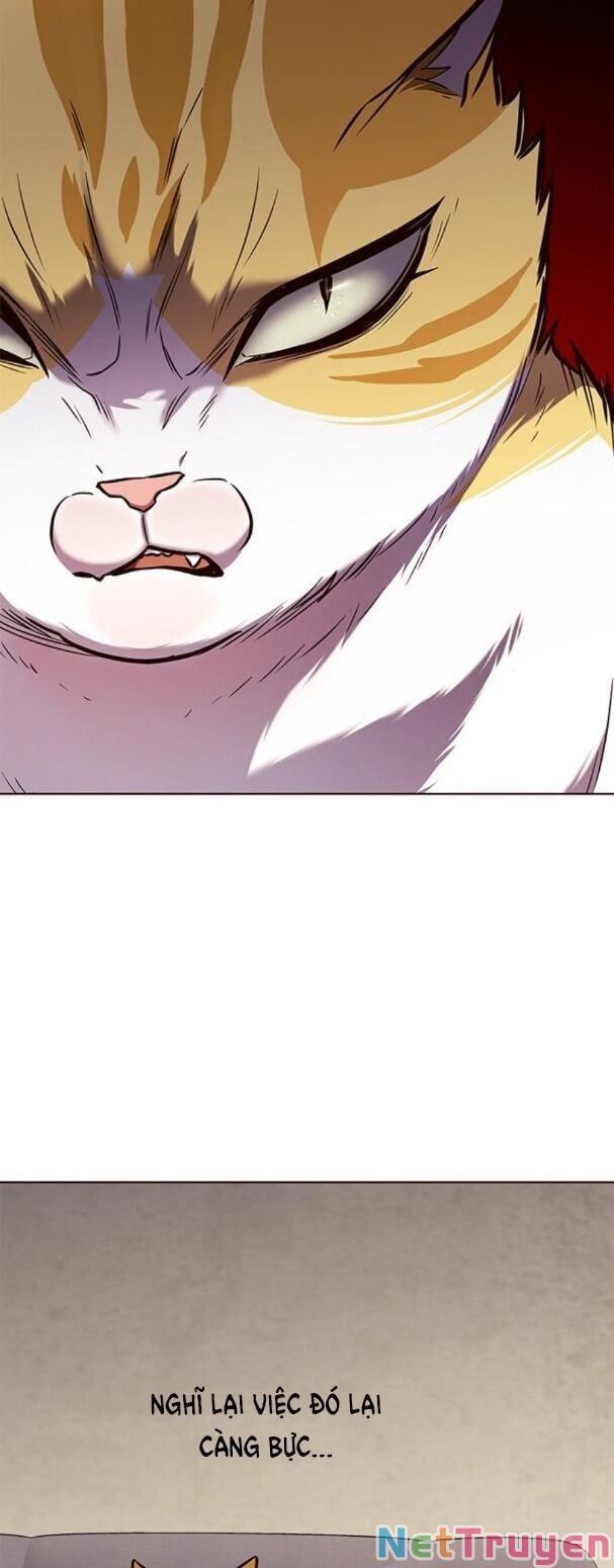 đọc truyện Hóa Thân Thành Mèo Chương 173 ảnh 37 tại Thiên Thai Truyện