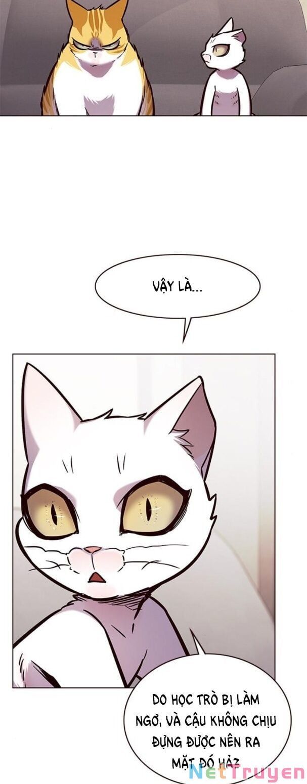 đọc truyện Hóa Thân Thành Mèo Chương 173 ảnh 38 tại Thiên Thai Truyện