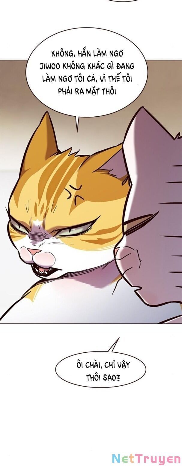 đọc truyện Hóa Thân Thành Mèo Chương 173 ảnh 39 tại Thiên Thai Truyện