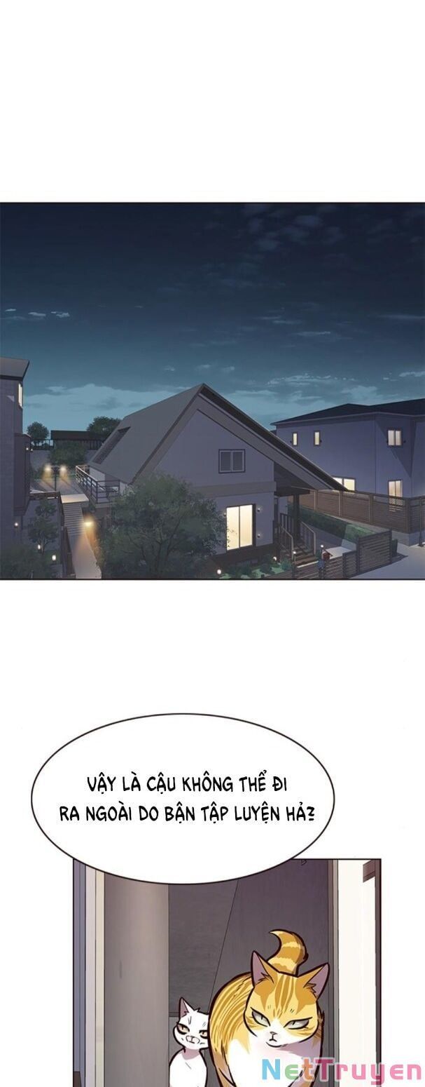 đọc truyện Hóa Thân Thành Mèo Chương 173 ảnh 40 tại Thiên Thai Truyện