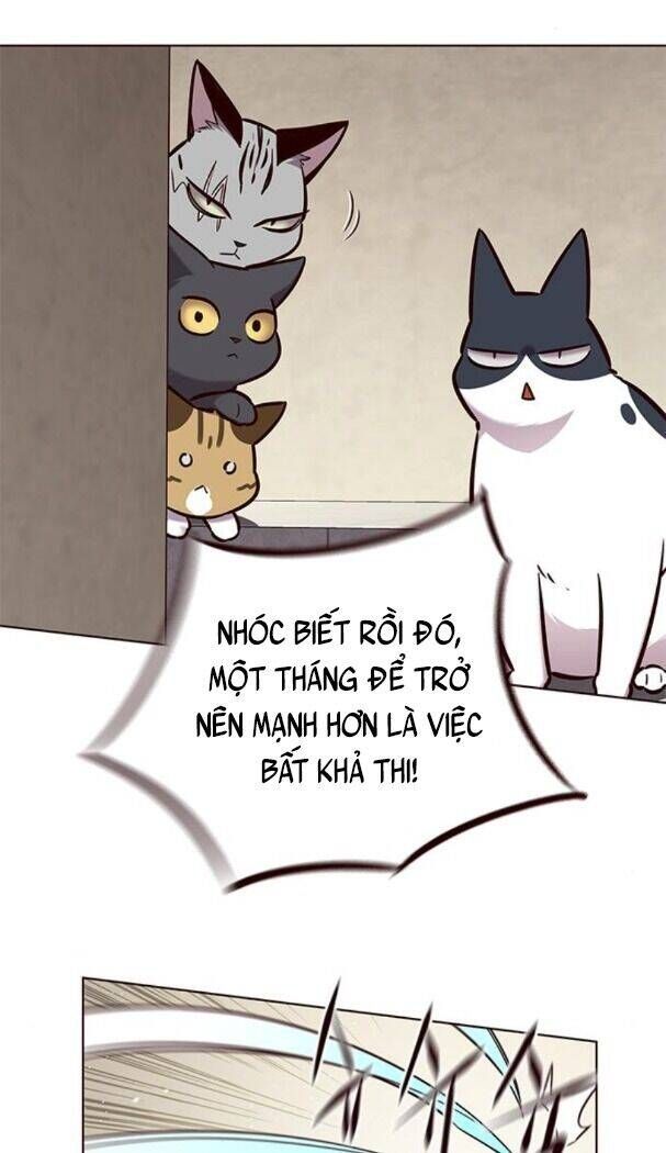 đọc truyện Hóa Thân Thành Mèo Chương 174 ảnh 33 tại Thiên Thai Truyện