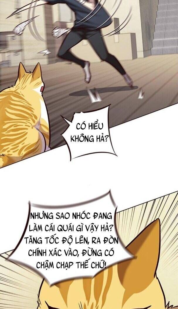 đọc truyện Hóa Thân Thành Mèo Chương 174 ảnh 36 tại Thiên Thai Truyện