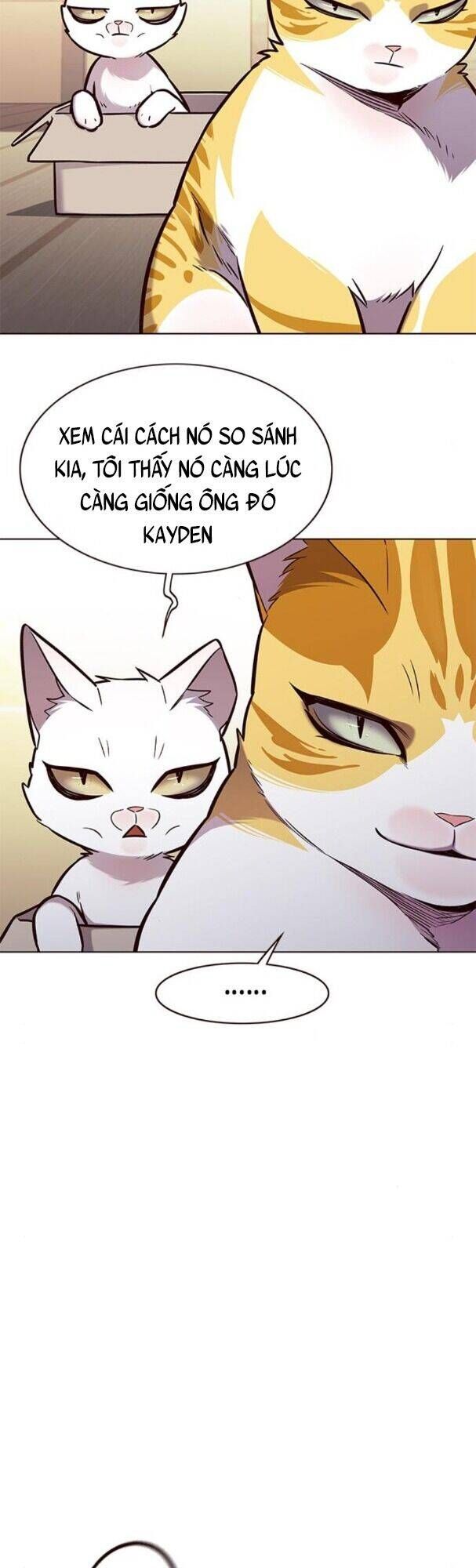 đọc truyện Hóa Thân Thành Mèo Chương 174 ảnh 41 tại Thiên Thai Truyện