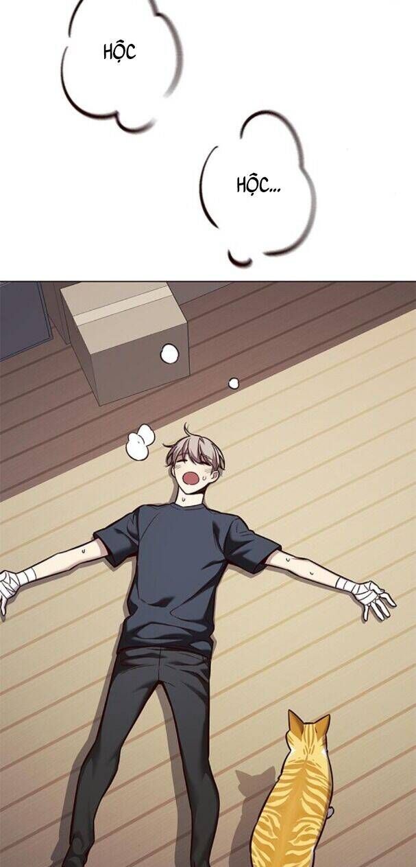 đọc truyện Hóa Thân Thành Mèo Chương 174 ảnh 42 tại Thiên Thai Truyện