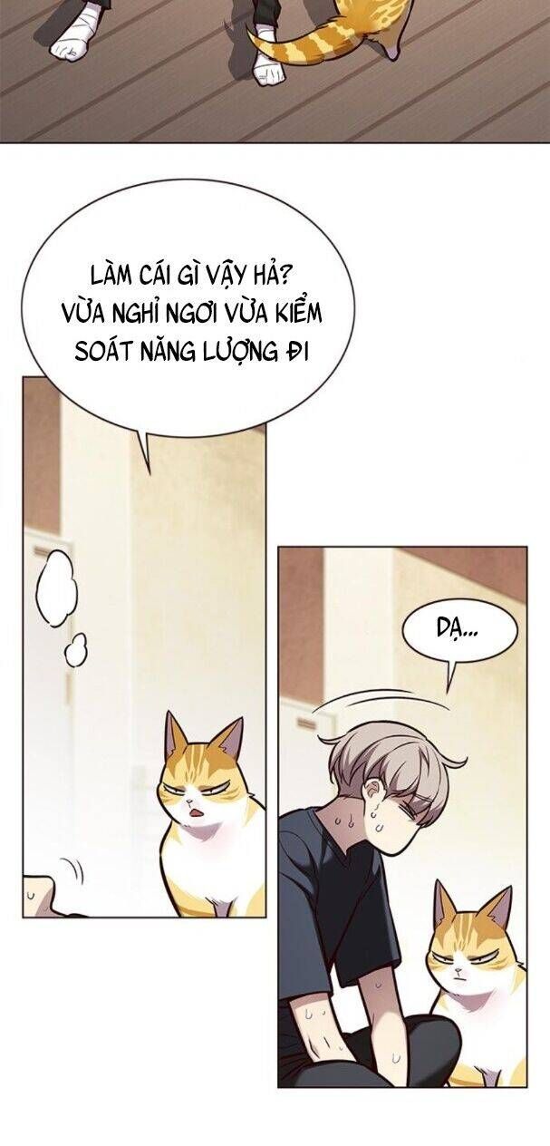 đọc truyện Hóa Thân Thành Mèo Chương 174 ảnh 43 tại Thiên Thai Truyện