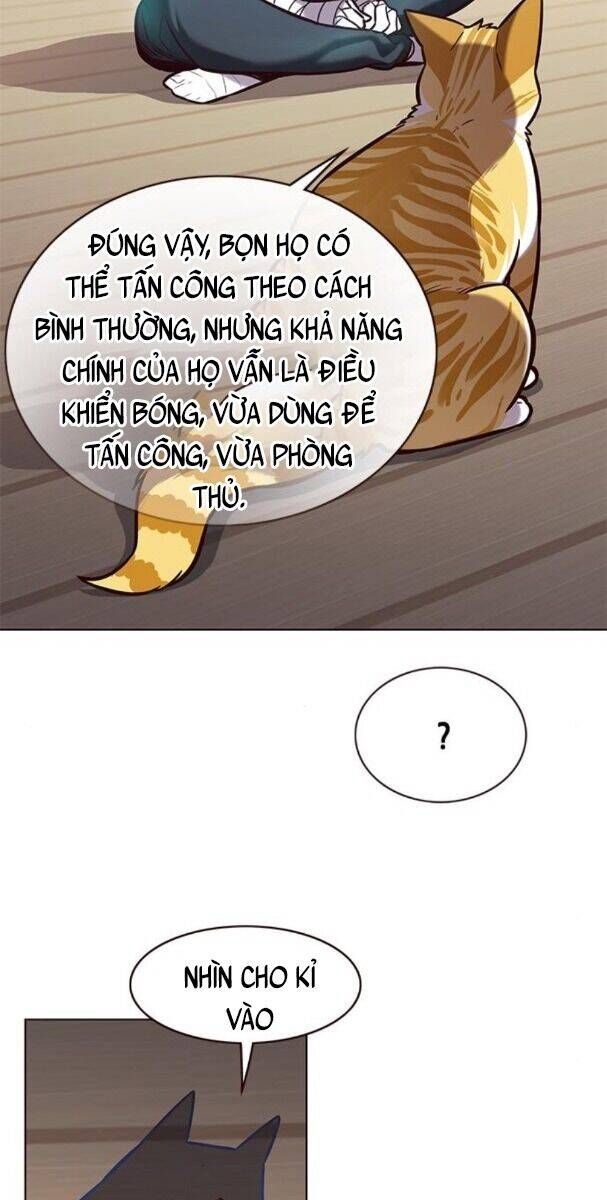 đọc truyện Hóa Thân Thành Mèo Chương 174 ảnh 45 tại Thiên Thai Truyện