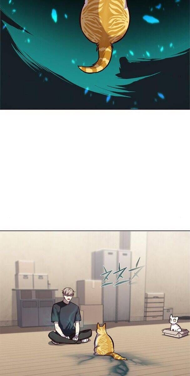 đọc truyện Hóa Thân Thành Mèo Chương 174 ảnh 52 tại Thiên Thai Truyện