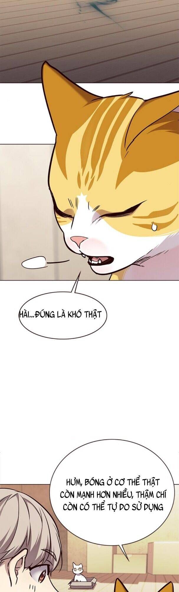 đọc truyện Hóa Thân Thành Mèo Chương 174 ảnh 53 tại Thiên Thai Truyện