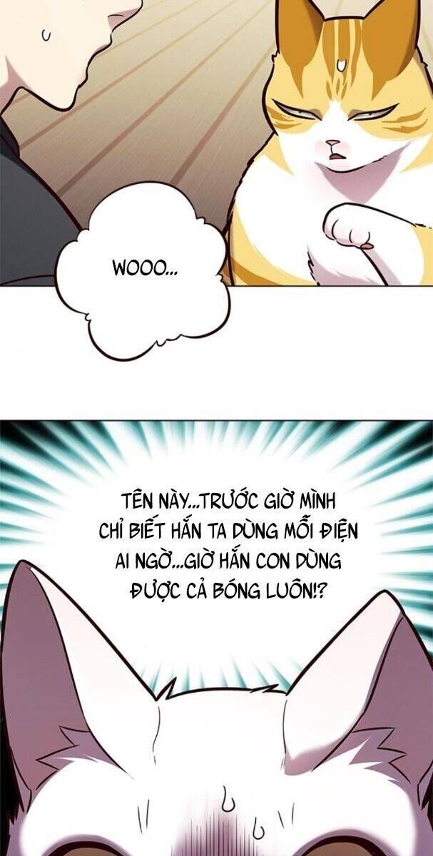 đọc truyện Hóa Thân Thành Mèo Chương 174 ảnh 54 tại Thiên Thai Truyện