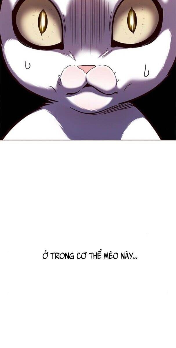 đọc truyện Hóa Thân Thành Mèo Chương 174 ảnh 55 tại Thiên Thai Truyện