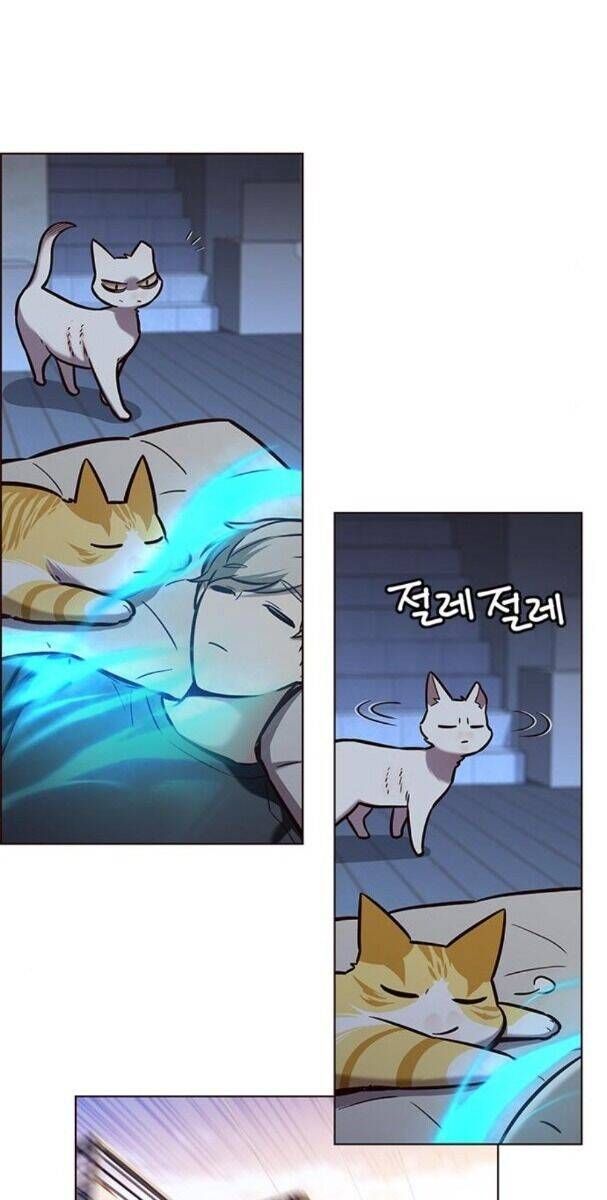 đọc truyện Hóa Thân Thành Mèo Chương 174 ảnh 57 tại Thiên Thai Truyện