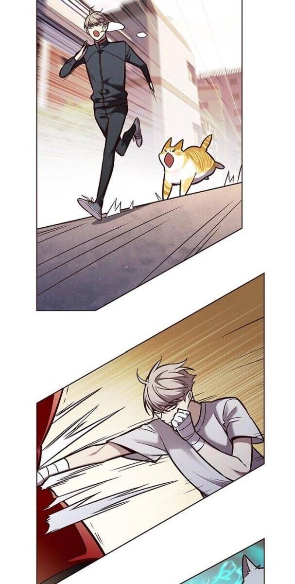 đọc truyện Hóa Thân Thành Mèo Chương 174 ảnh 58 tại Thiên Thai Truyện