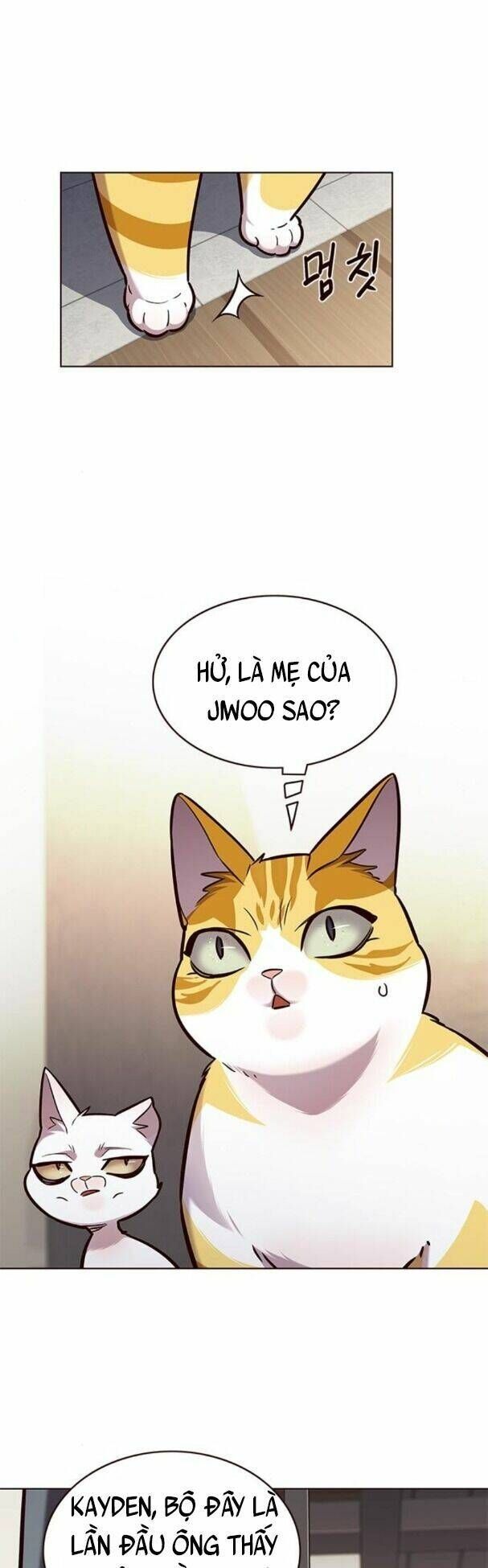 đọc truyện Hóa Thân Thành Mèo Chương 177 ảnh 4 tại Thiên Thai Truyện