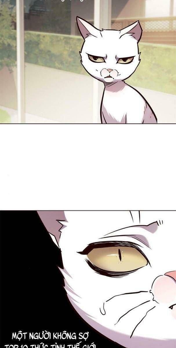 đọc truyện Hóa Thân Thành Mèo Chương 177 ảnh 50 tại Thiên Thai Truyện