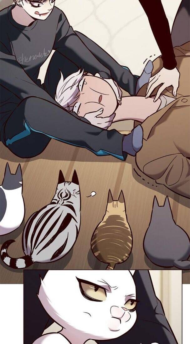 đọc truyện Hóa Thân Thành Mèo Chương 178 ảnh 25 tại Thiên Thai Truyện