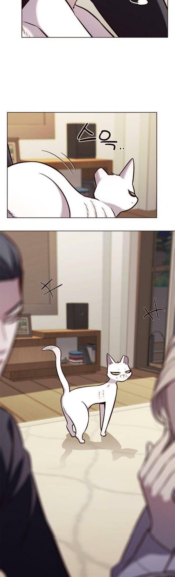 đọc truyện Hóa Thân Thành Mèo Chương 178 ảnh 26 tại Thiên Thai Truyện