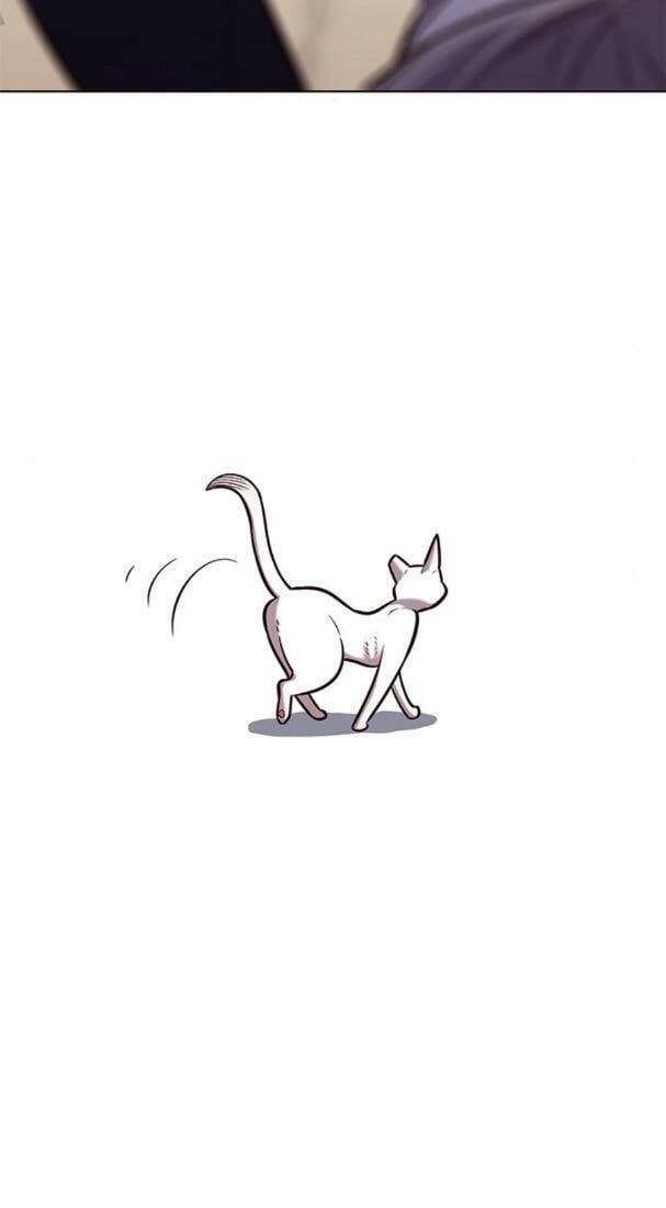 đọc truyện Hóa Thân Thành Mèo Chương 178 ảnh 27 tại Thiên Thai Truyện