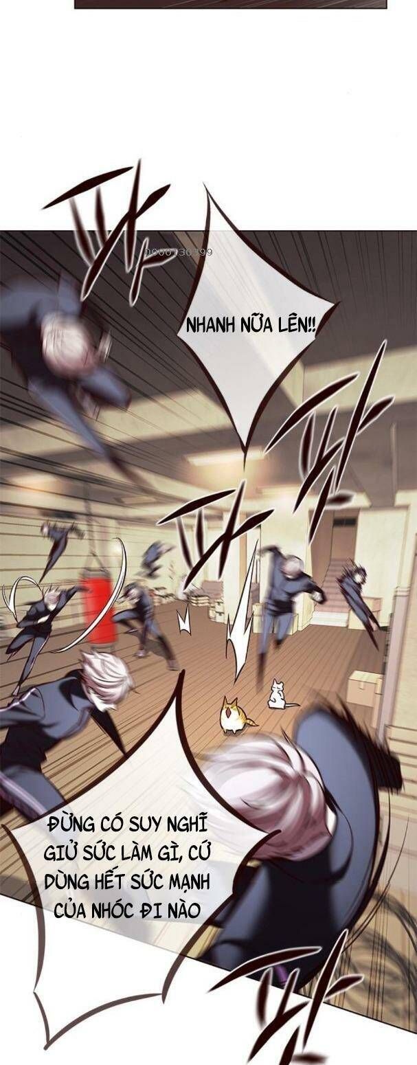 đọc truyện Hóa Thân Thành Mèo Chương 179 ảnh 25 tại Thiên Thai Truyện