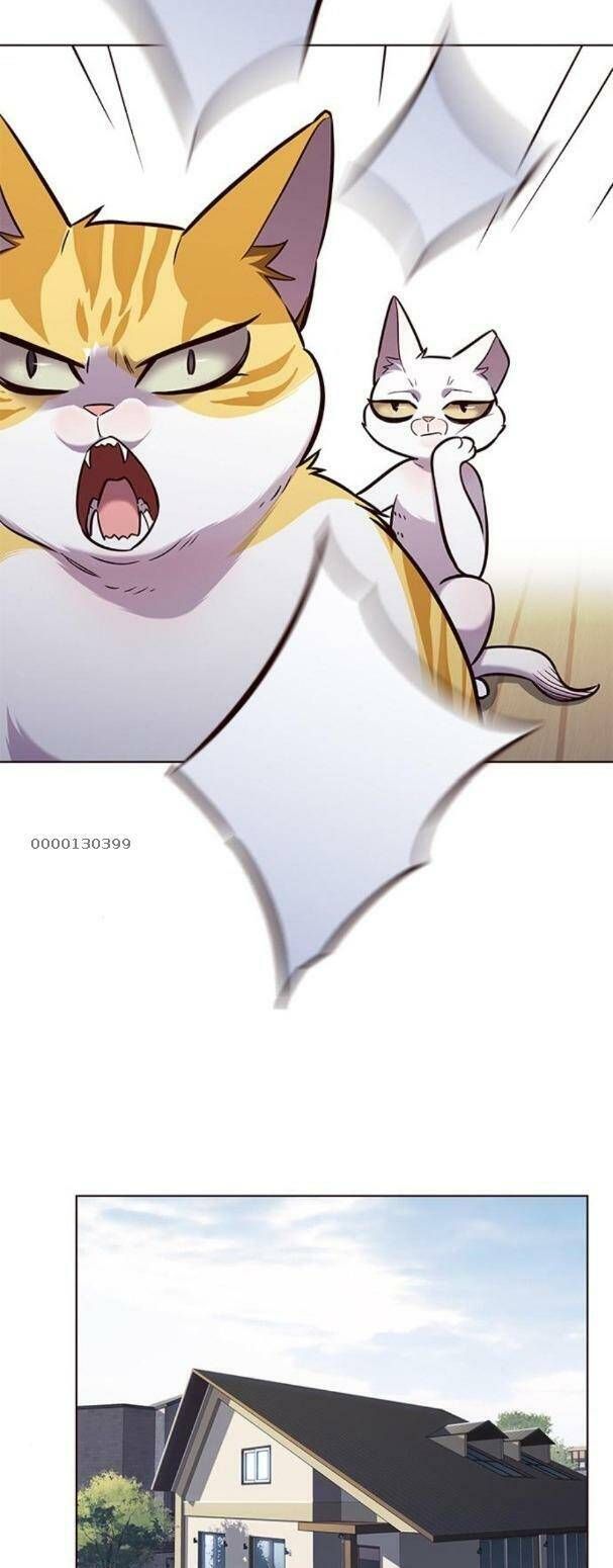 đọc truyện Hóa Thân Thành Mèo Chương 179 ảnh 27 tại Thiên Thai Truyện