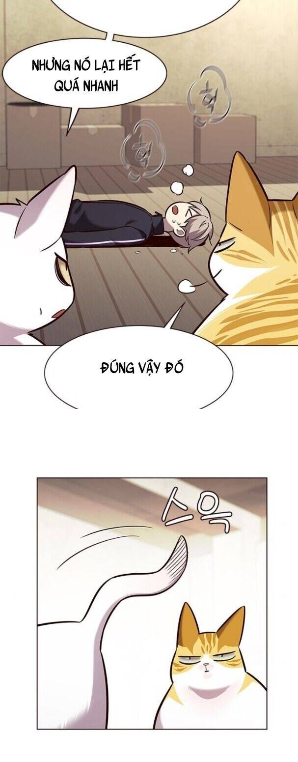 đọc truyện Hóa Thân Thành Mèo Chương 179 ảnh 29 tại Thiên Thai Truyện