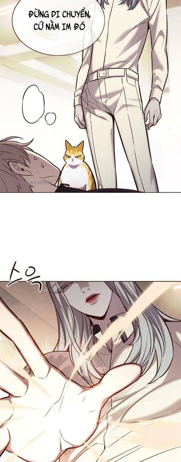 đọc truyện Hóa Thân Thành Mèo Chương 179 ảnh 31 tại Thiên Thai Truyện