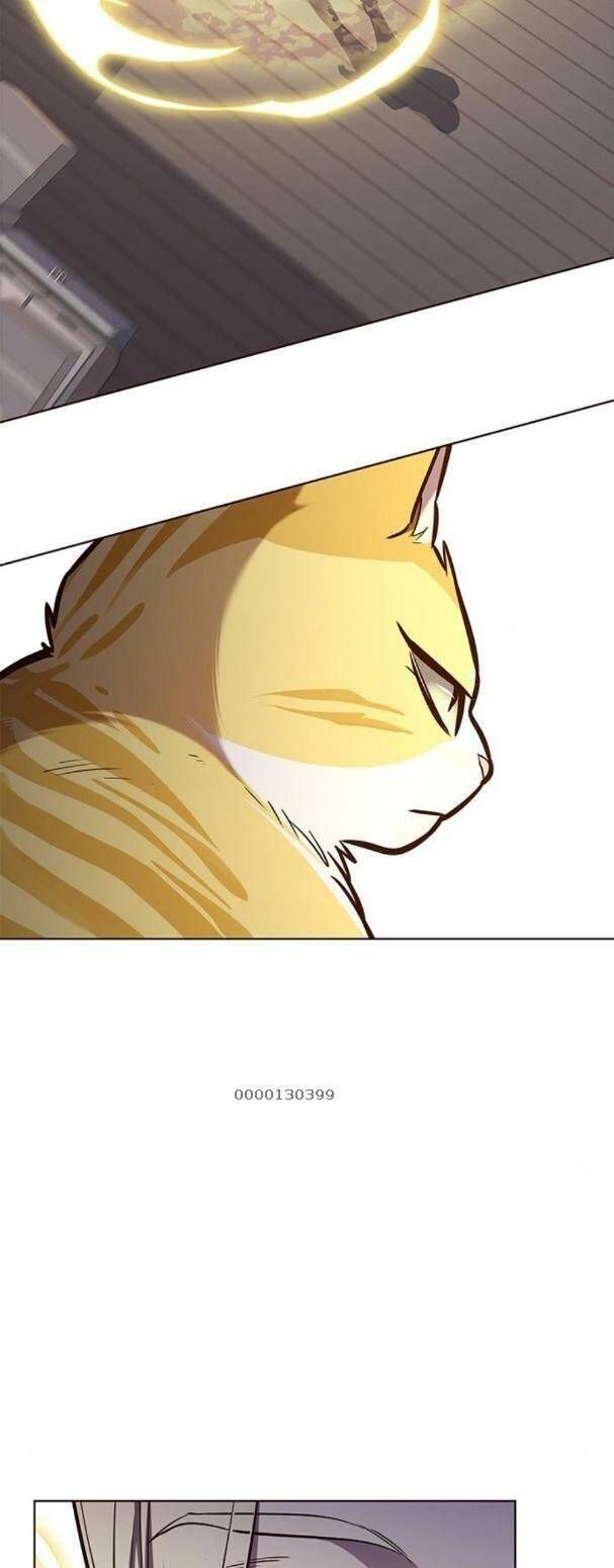 đọc truyện Hóa Thân Thành Mèo Chương 179 ảnh 33 tại Thiên Thai Truyện