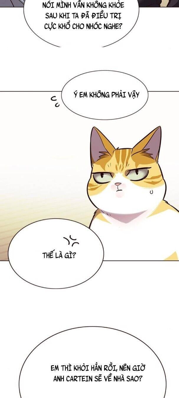 đọc truyện Hóa Thân Thành Mèo Chương 179 ảnh 38 tại Thiên Thai Truyện