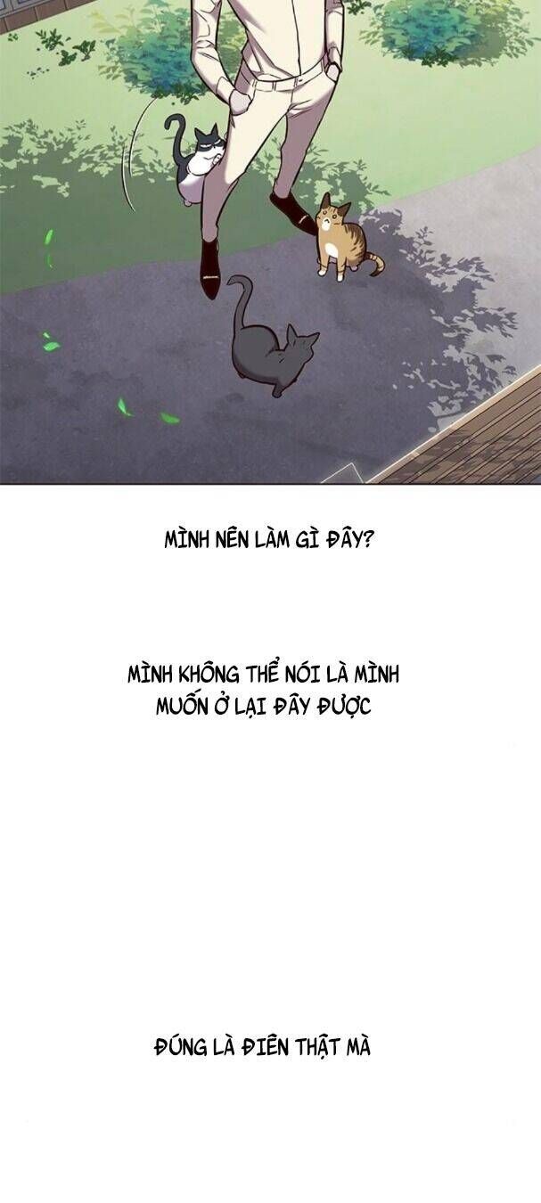 đọc truyện Hóa Thân Thành Mèo Chương 179 ảnh 50 tại Thiên Thai Truyện