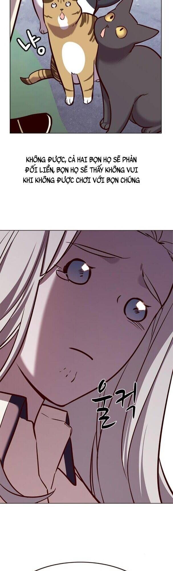 đọc truyện Hóa Thân Thành Mèo Chương 179 ảnh 52 tại Thiên Thai Truyện