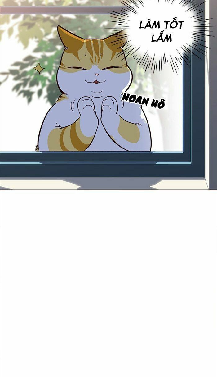 đọc truyện Hóa Thân Thành Mèo Chương 18 ảnh 49 tại Thiên Thai Truyện