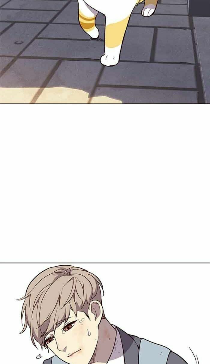 đọc truyện Hóa Thân Thành Mèo Chương 18 ảnh 57 tại Thiên Thai Truyện