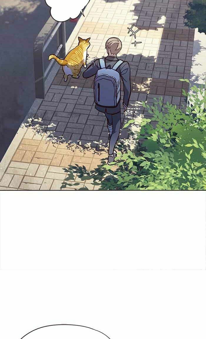 đọc truyện Hóa Thân Thành Mèo Chương 18 ảnh 69 tại Thiên Thai Truyện