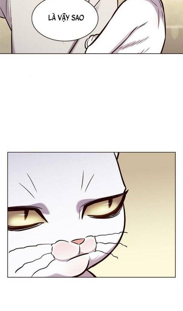 đọc truyện Hóa Thân Thành Mèo Chương 180 ảnh 15 tại Thiên Thai Truyện