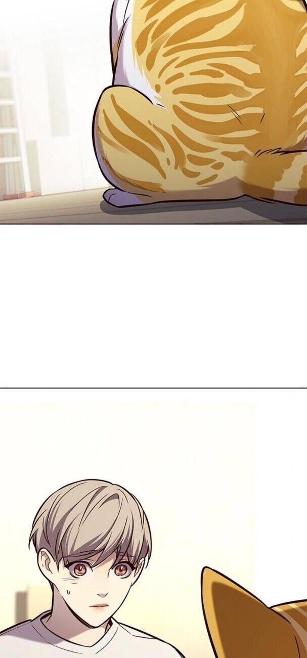 đọc truyện Hóa Thân Thành Mèo Chương 180 ảnh 17 tại Thiên Thai Truyện