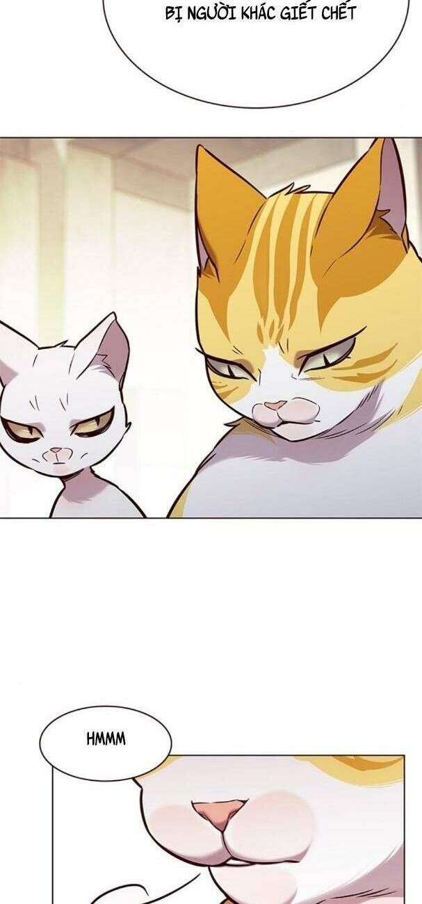 đọc truyện Hóa Thân Thành Mèo Chương 180 ảnh 21 tại Thiên Thai Truyện