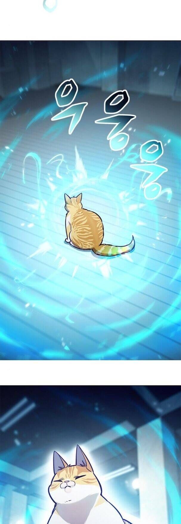 đọc truyện Hóa Thân Thành Mèo Chương 180 ảnh 4 tại Thiên Thai Truyện