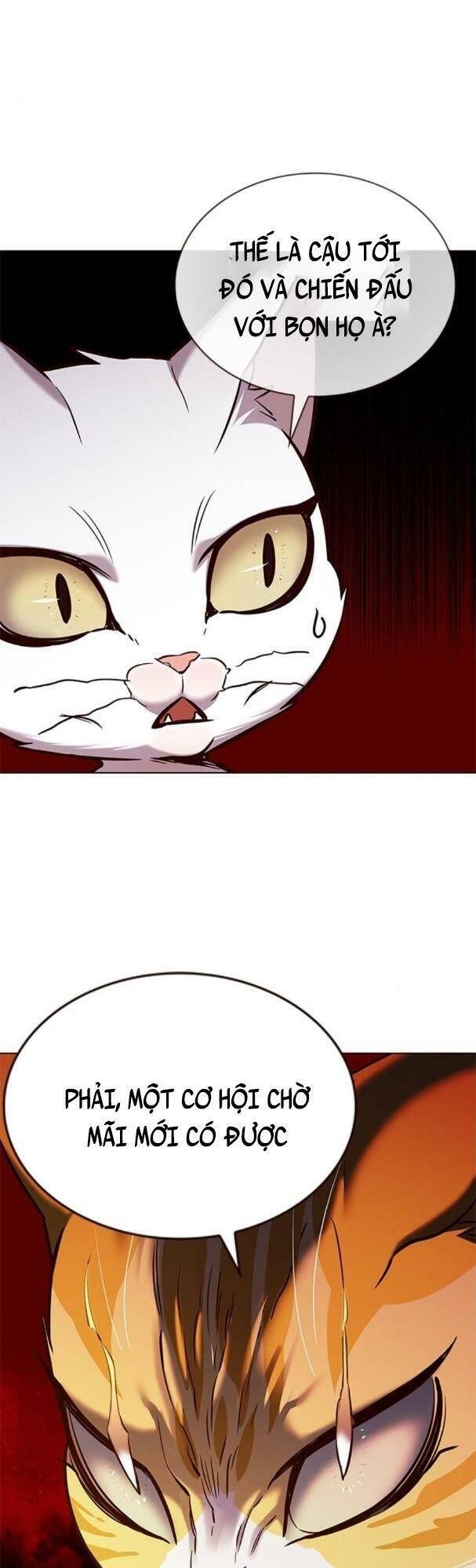 đọc truyện Hóa Thân Thành Mèo Chương 180 ảnh 36 tại Thiên Thai Truyện