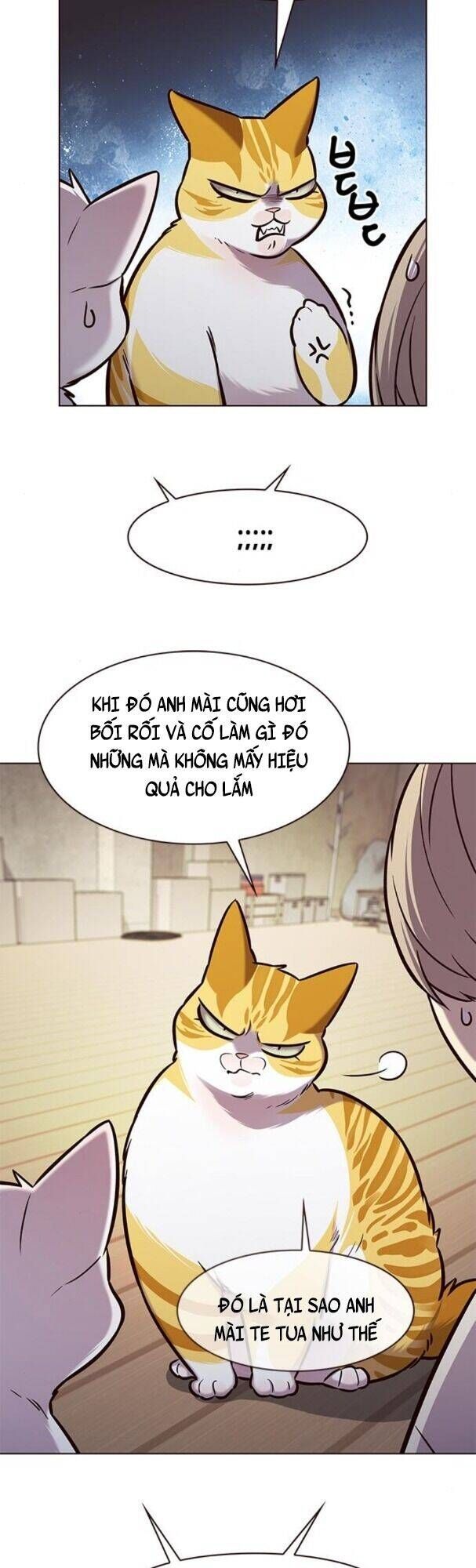 đọc truyện Hóa Thân Thành Mèo Chương 180 ảnh 41 tại Thiên Thai Truyện