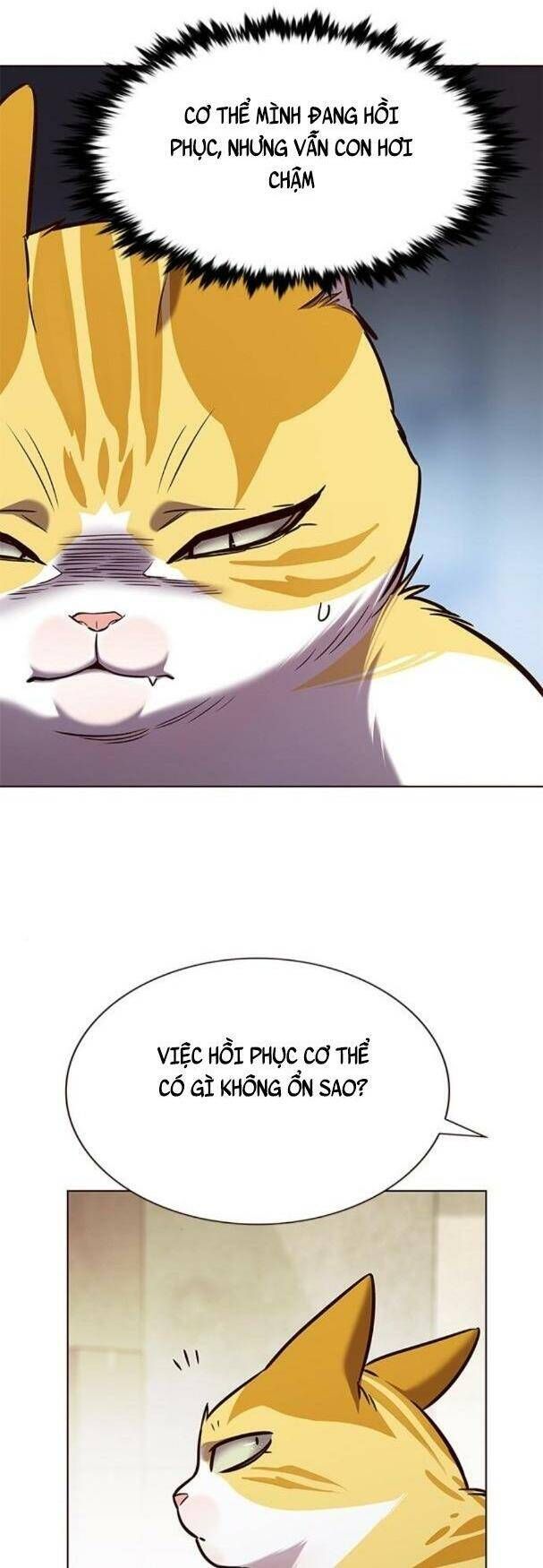 đọc truyện Hóa Thân Thành Mèo Chương 180 ảnh 6 tại Thiên Thai Truyện