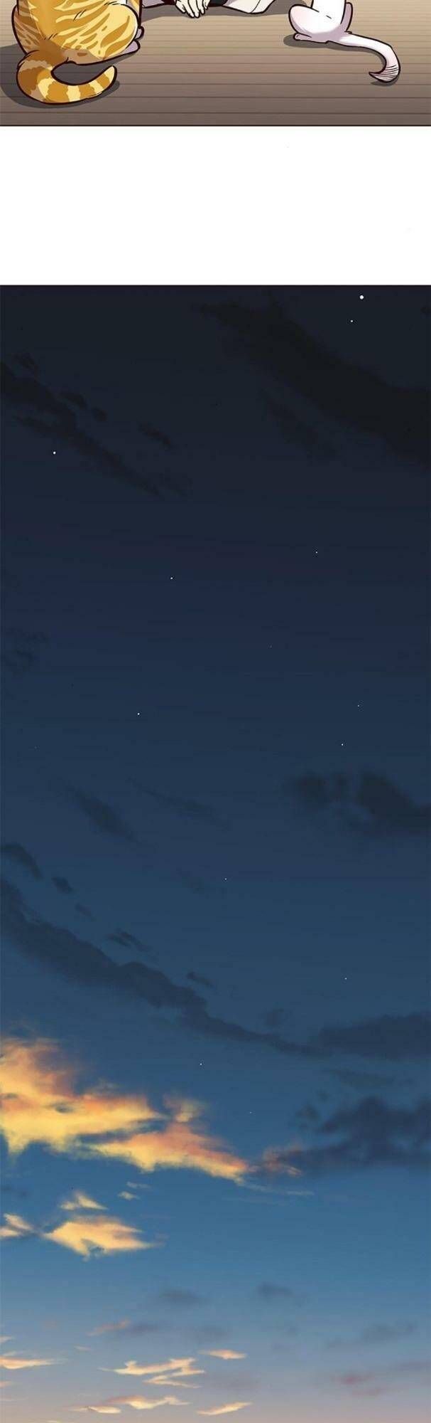 đọc truyện Hóa Thân Thành Mèo Chương 180 ảnh 44 tại Thiên Thai Truyện