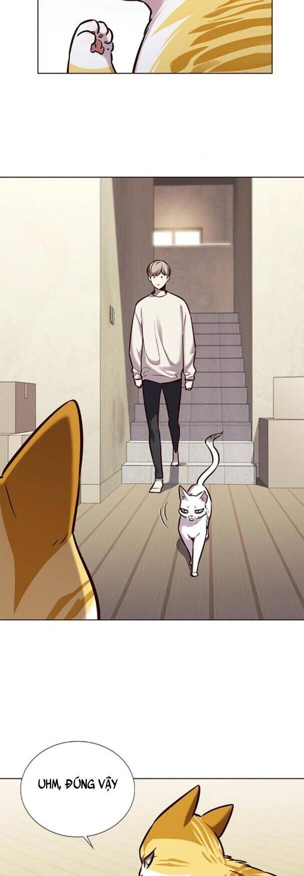 đọc truyện Hóa Thân Thành Mèo Chương 180 ảnh 7 tại Thiên Thai Truyện