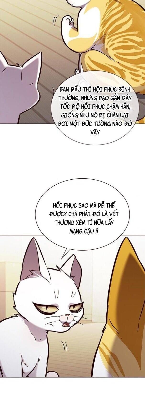 đọc truyện Hóa Thân Thành Mèo Chương 180 ảnh 8 tại Thiên Thai Truyện