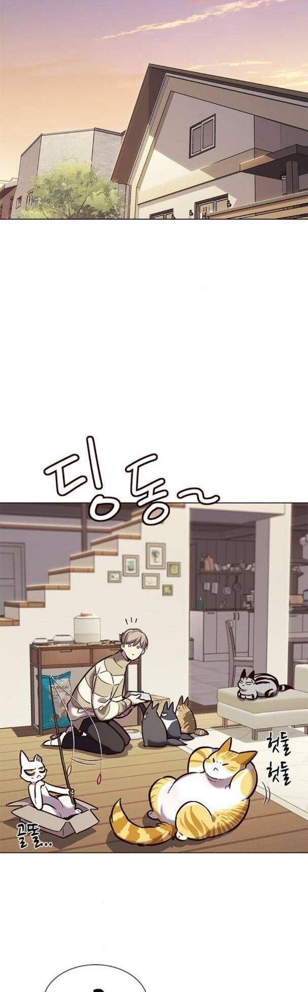 đọc truyện Hóa Thân Thành Mèo Chương 181 ảnh 14 tại Thiên Thai Truyện