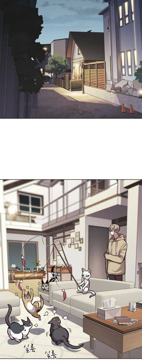 đọc truyện Hóa Thân Thành Mèo Chương 182 ảnh 16 tại Thiên Thai Truyện