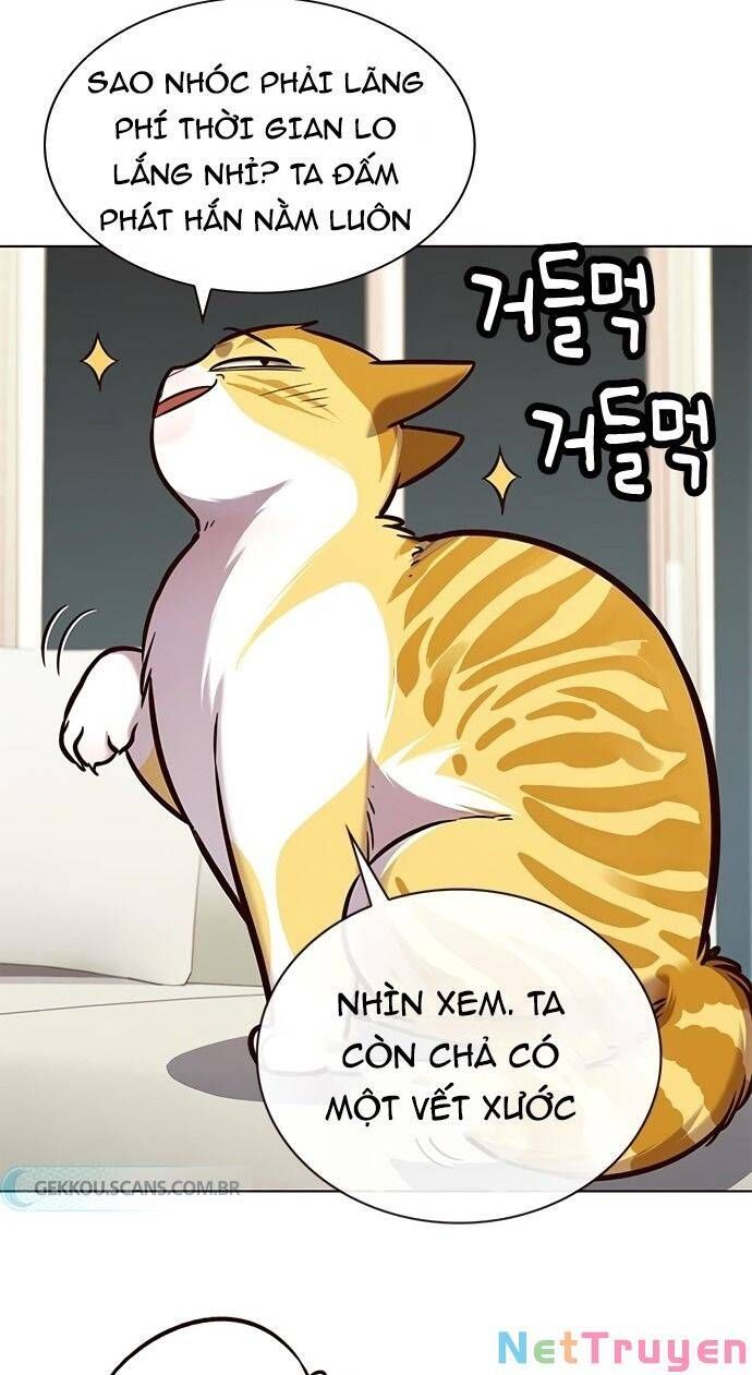 đọc truyện Hóa Thân Thành Mèo Chương 186 ảnh 23 tại Thiên Thai Truyện