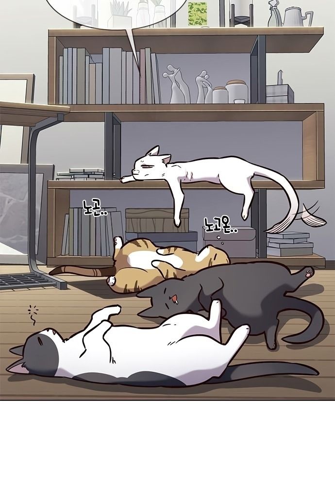 đọc truyện Hóa Thân Thành Mèo Chương 187 ảnh 6 tại Thiên Thai Truyện