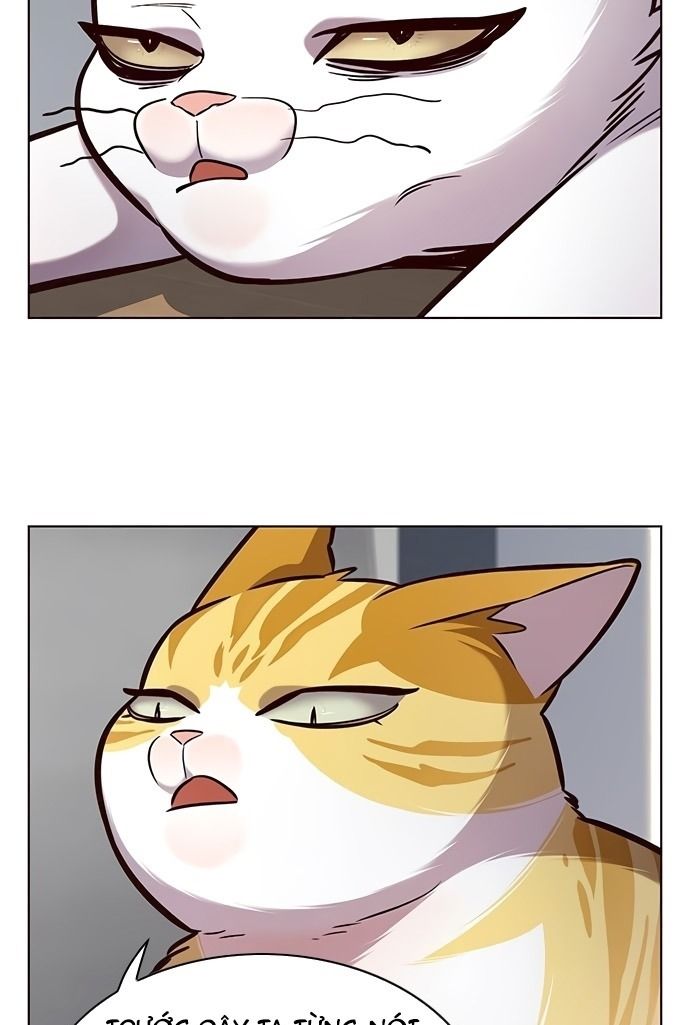 đọc truyện Hóa Thân Thành Mèo Chương 187 ảnh 9 tại Thiên Thai Truyện