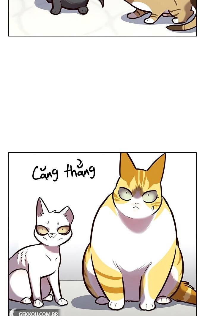 đọc truyện Hóa Thân Thành Mèo Chương 188 ảnh 29 tại Thiên Thai Truyện