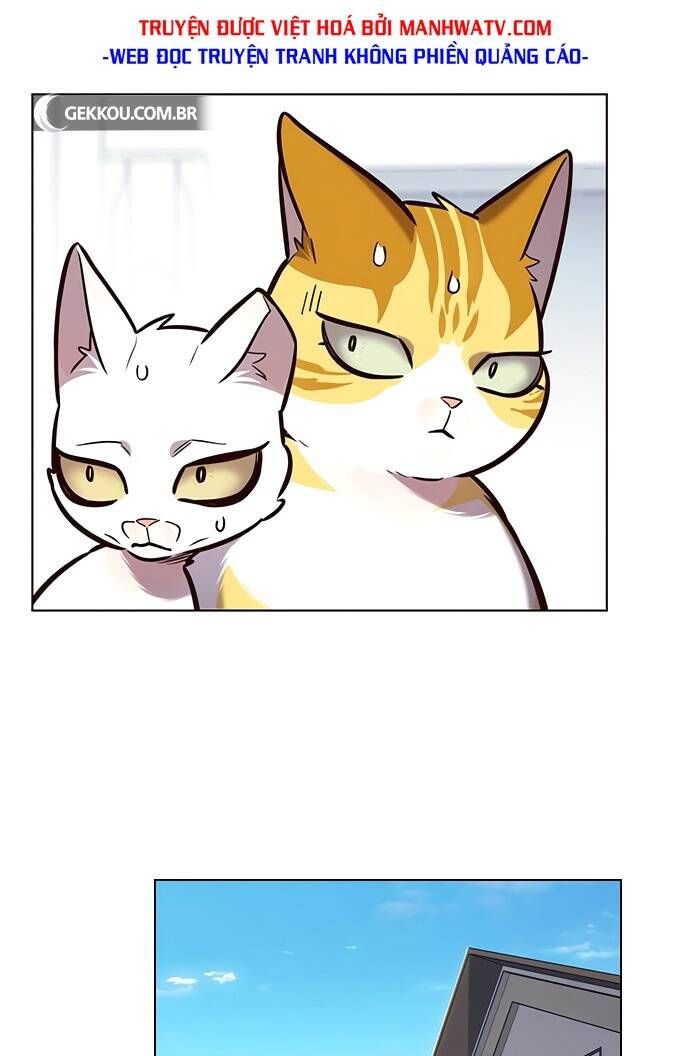 đọc truyện Hóa Thân Thành Mèo Chương 188 ảnh 37 tại Thiên Thai Truyện